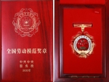 祝贺高接枝总工程师荣获“全国劳动模范”荣誉称号